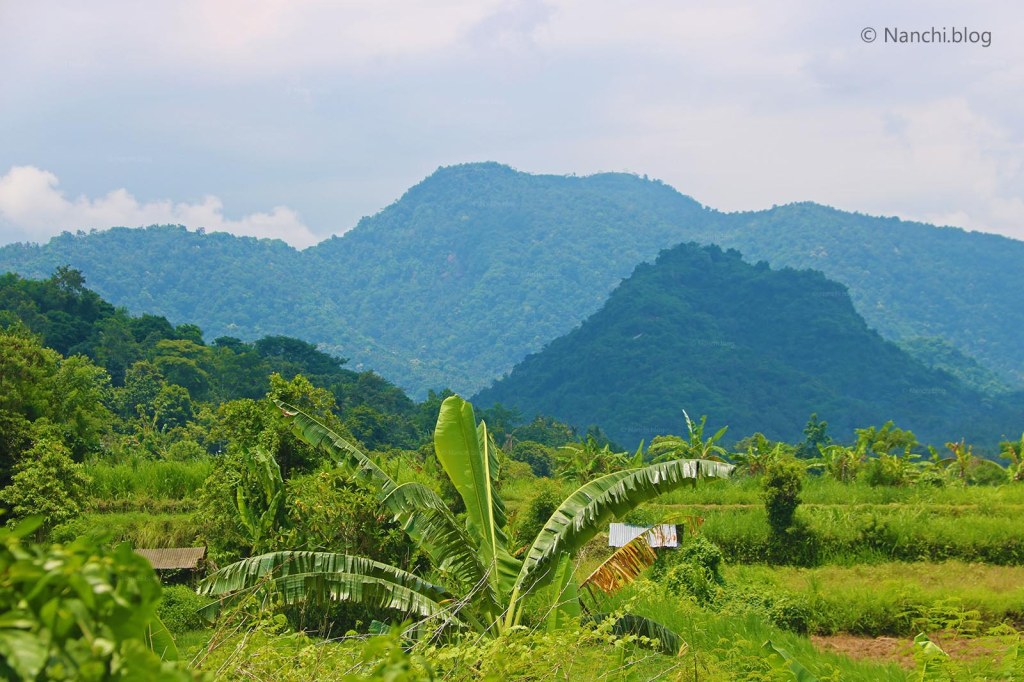 Green Landscape, Gianyar, Bali, Indonesia