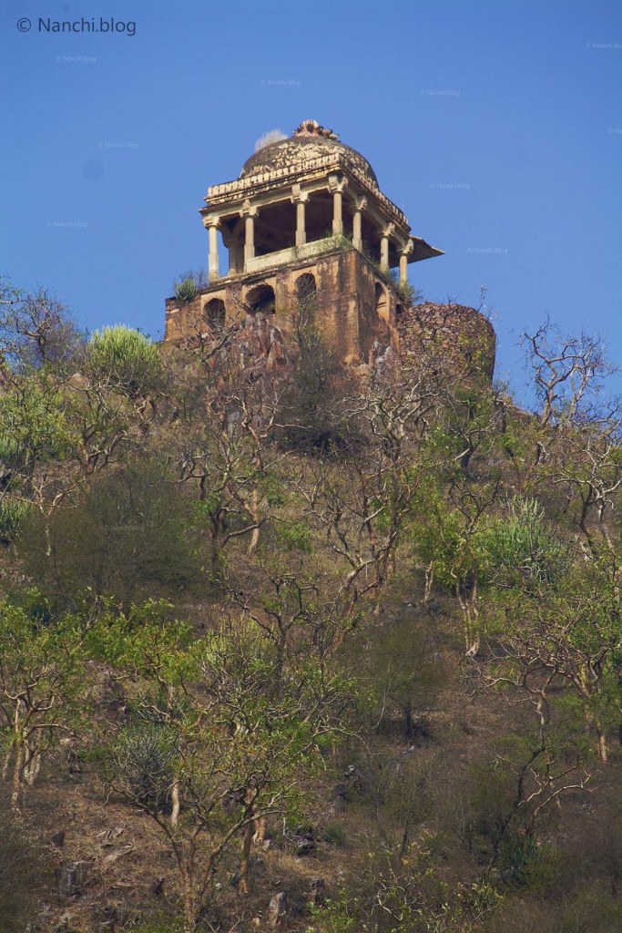 Dome, Bhangarh Fort, Jaipur, Rajasthan