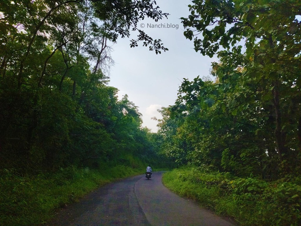 Road towards Sinhagad Fort, Pune