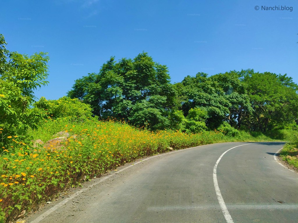Scenic road to Sinhagad Fort, Pune
