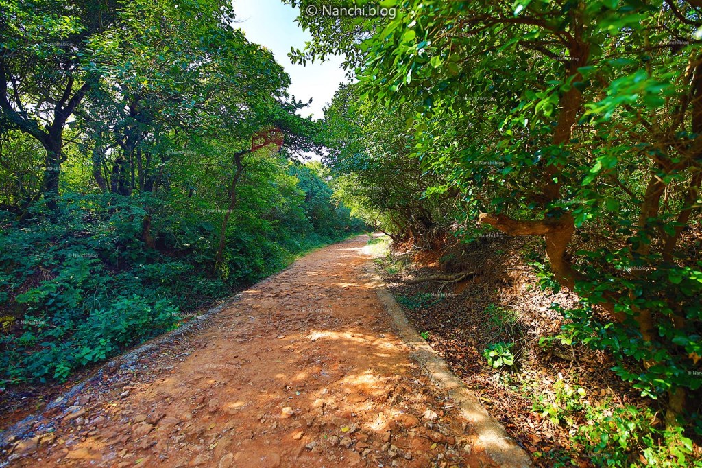 Pathway for Krishnabai Temple of Lord Shiva in Old Mahabaleshwar