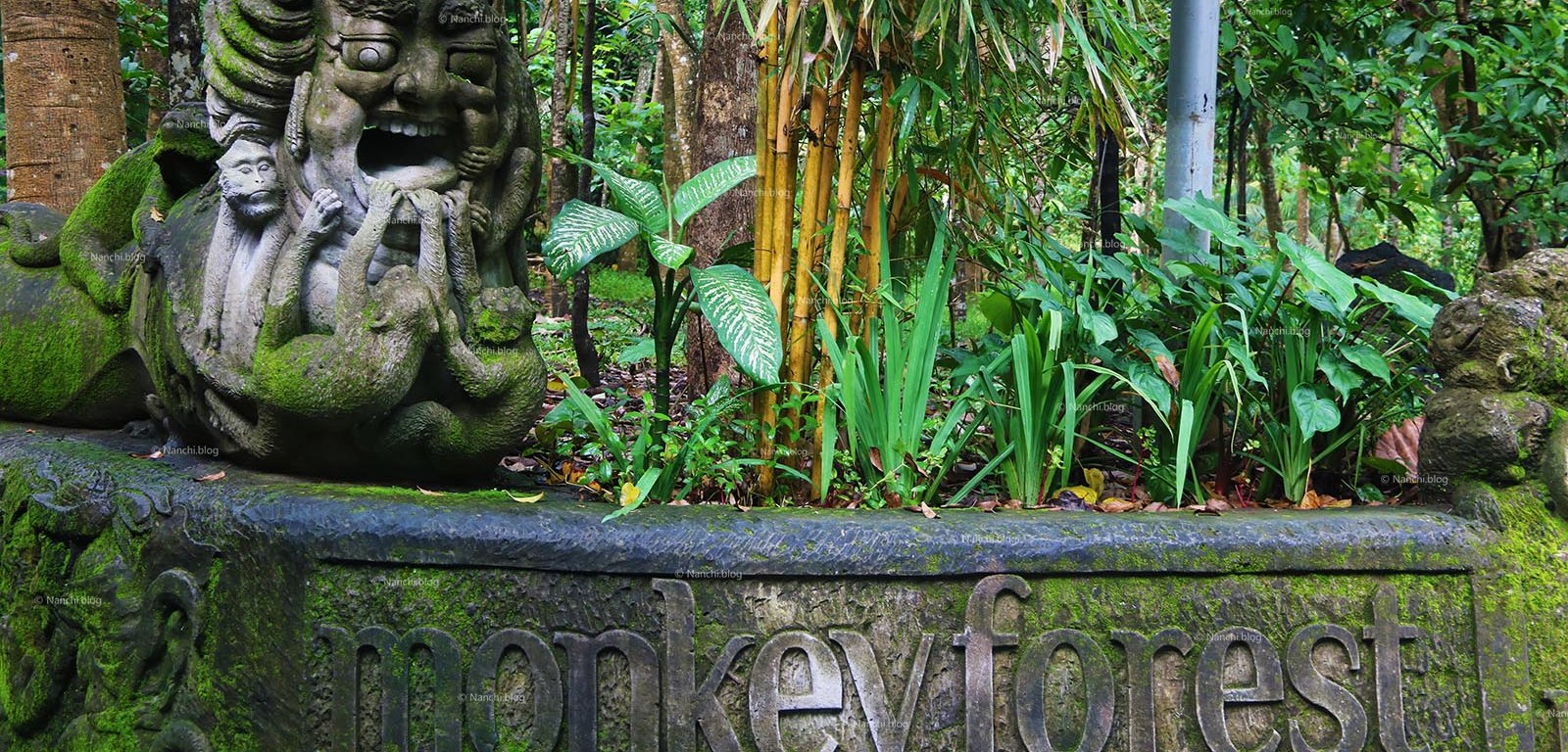 Monkey Forest, Ubud, Bali • Nanchi’s Fun Facts Friday!