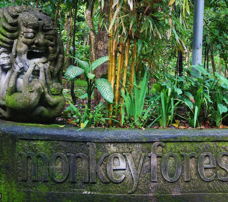 Monkey Forest, Ubud, Bali • Nanchi’s Fun Facts Friday!