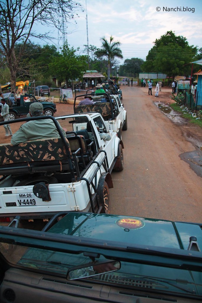 Safari Jeeps waiting, Tadoba Andhari Tiger Reserve, Chandrapur, Maharashtra