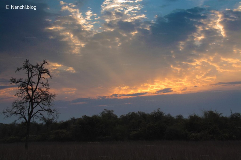 Sunrise in Tadoba Andhari Tiger Reserve, Chandrapur, Maharashtra