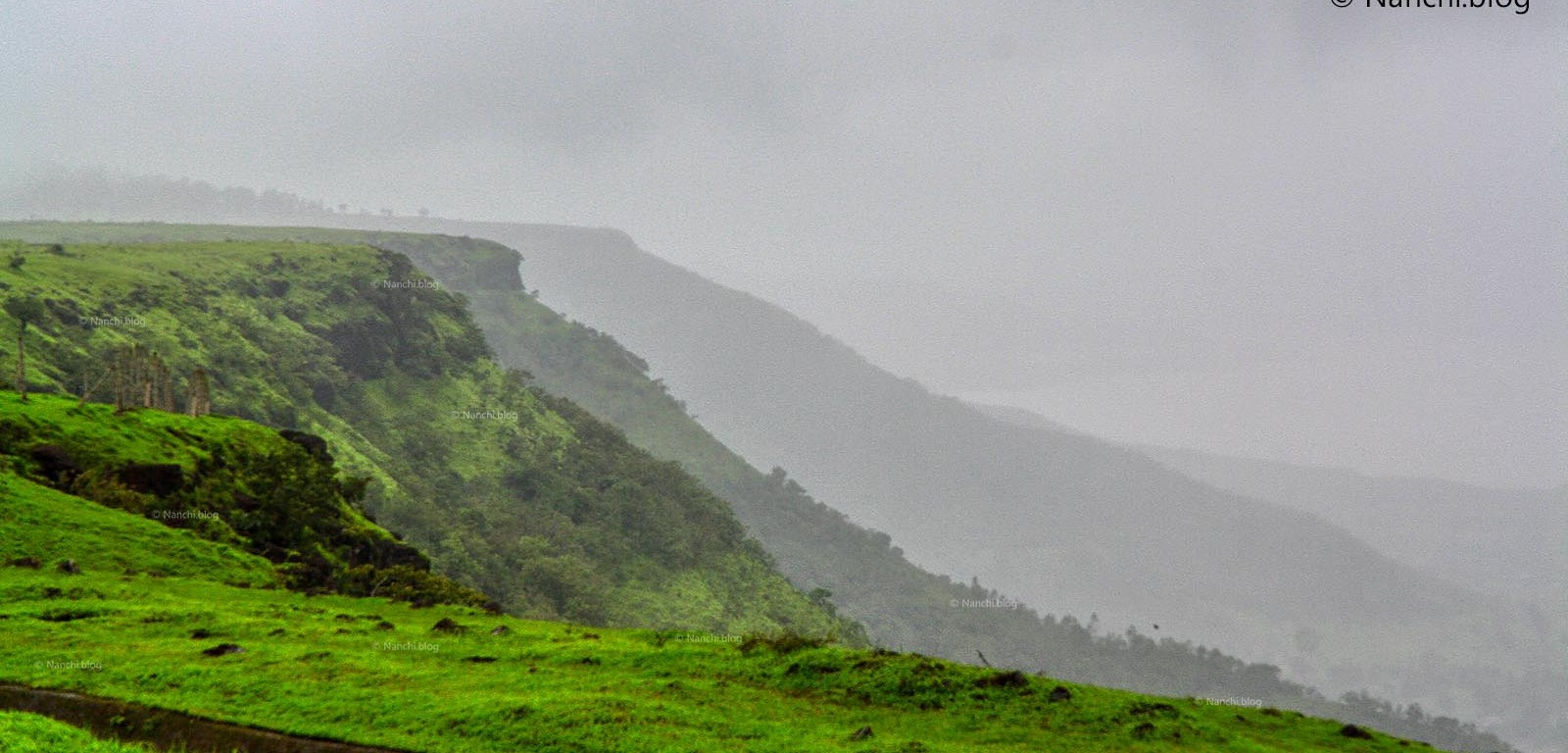 Mountain range, Kaas Plateau, Satara, Maharashtra