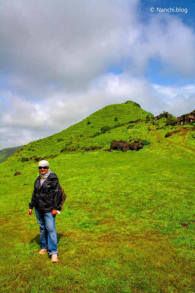 Nanchi on the way to Kaas Plateau, Satara, Maharashtra